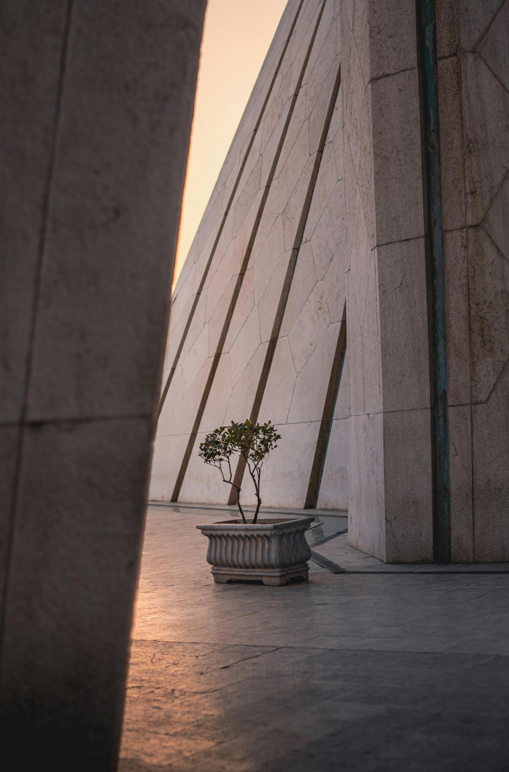 snhc-PIC-planter in museum